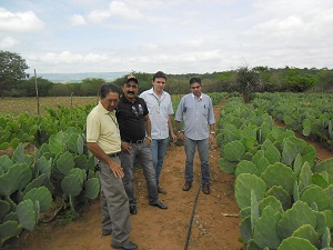 Adagri e SDA visitam campos de palma forrageira em Porteiras