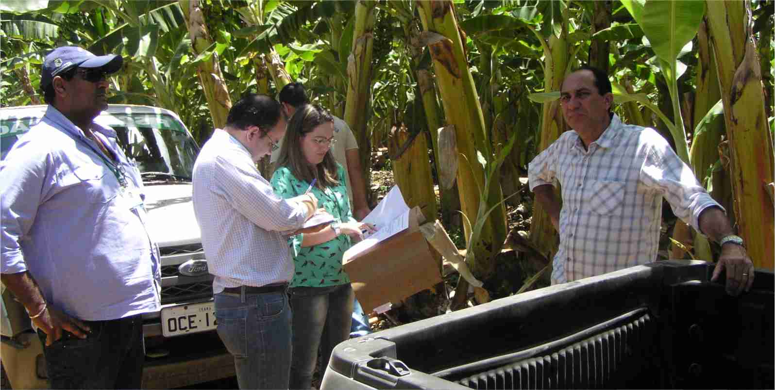 Área vegetal da ADAGRI recebe auditoria do MAPA
