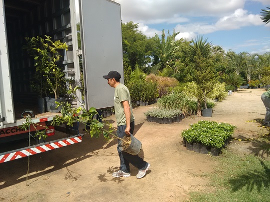 Adagri realiza fiscalização de viveiros em Fortaleza e Limoeiro do Norte