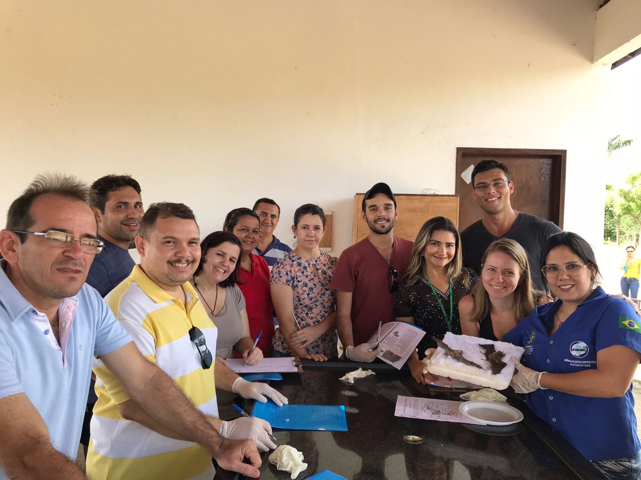 Adagri realiza treinamento para controle da Raiva dos Herbívoros