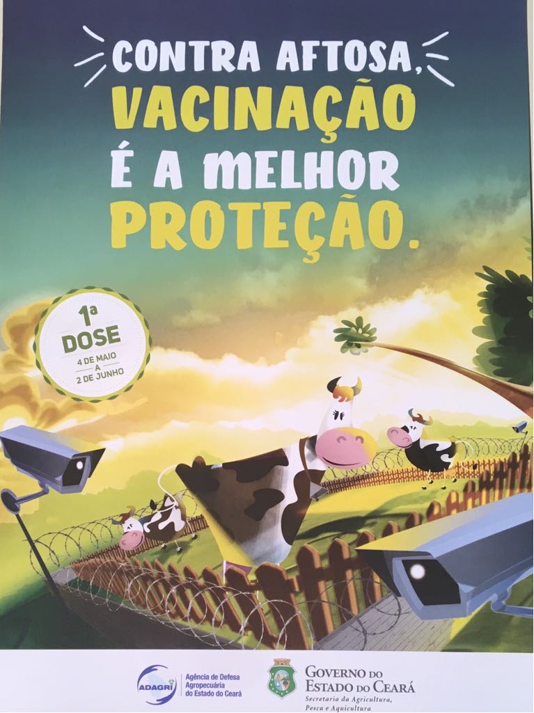 Ceará lança campanha de vacinação contra a febre aftosa