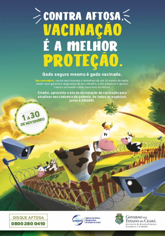 2ª ETAPA DA CAMPANHA DE VACINAÇÃO CONTRA FEBRE AFTOSA 2019