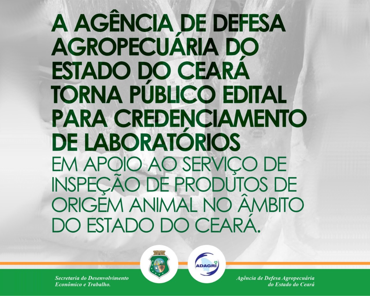 EDITAL 01/2019 CREDENCIAMENTO DE LABORATÓRIOS