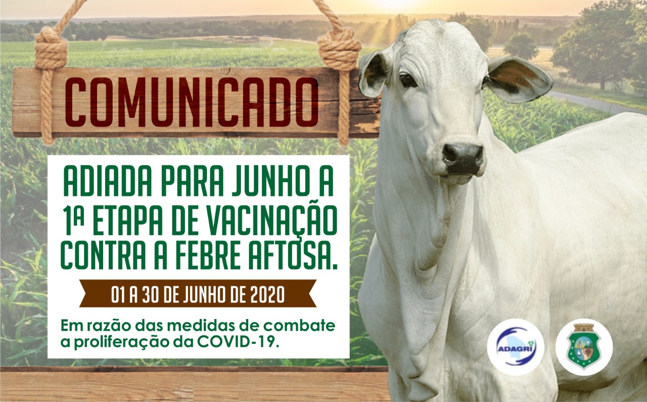 Campanha de Vacinação Contra a Febre Aftosa acontecerá no período de 01 a 30 de junho de 2020