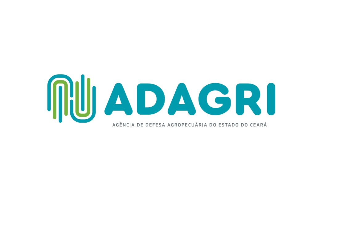 AGENDAMENTO ONLINE DE SERVIÇO