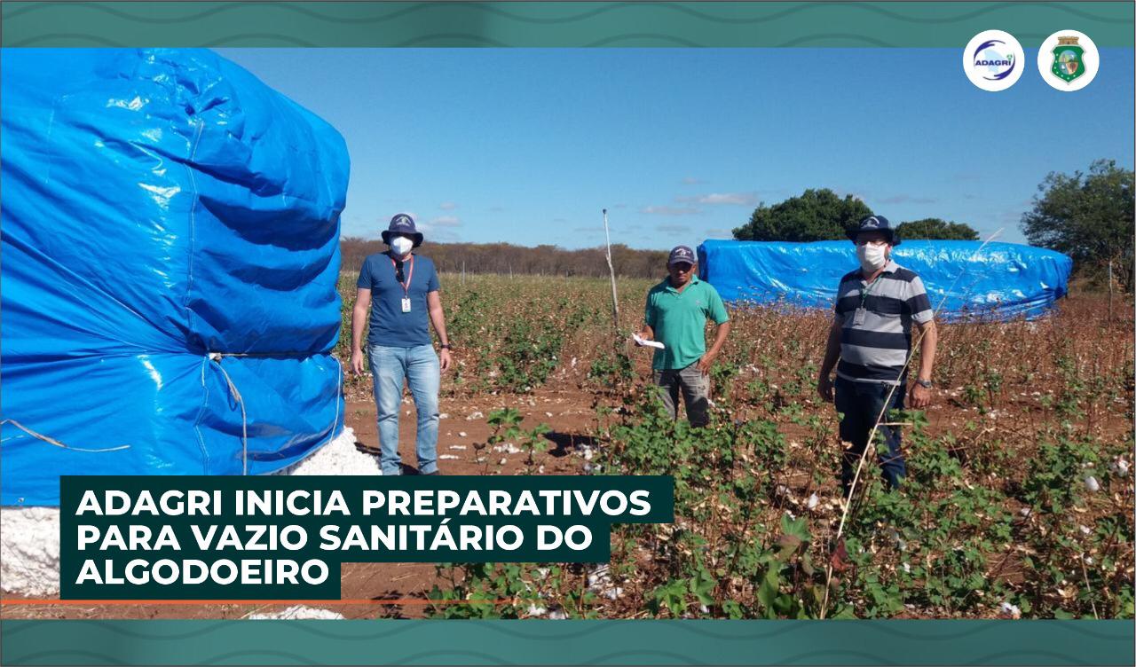 ADAGRI INICIA PREPARATIVOS PARA VAZIO SANITÁRIO DO ALGODOEIRO