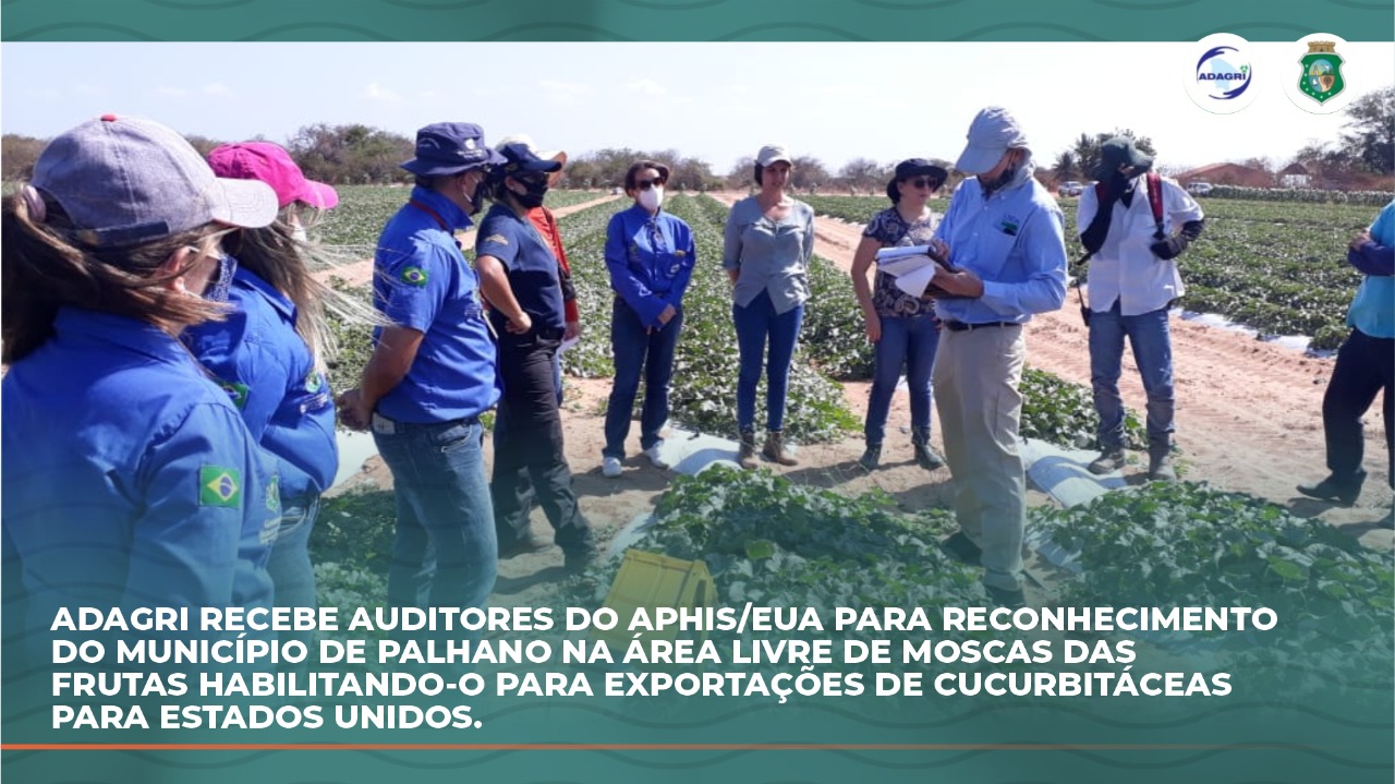Adagri recebe auditores do APHIS/USDA para reconhecimento de Palhano como área livre de moscas das frutas – ”Anastrepha grandis”