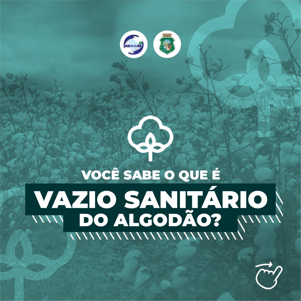Vazio Sanitário do Algodão no Ceará se inicia no próximo dia 1º de outubro