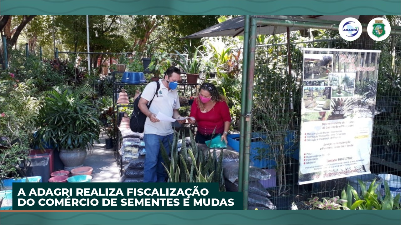 A ADAGRI realiza Fiscalização no Comércio de Sementes e Mudas