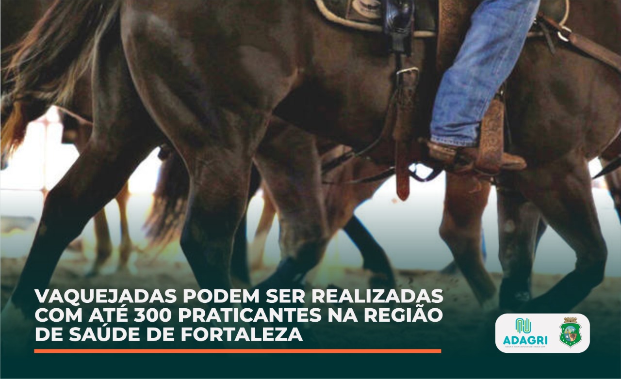 Vaquejadas podem ser realizadas nas Regiões de Saúde de Fortaleza, Litoral Leste/Jaguaribe, Sertão Central e Norte