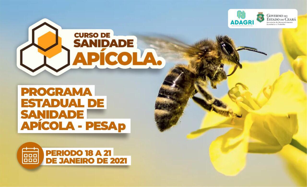 Adagri realiza Curso de Sanidade Apícola entre os dias 18 a 21 de janeiro