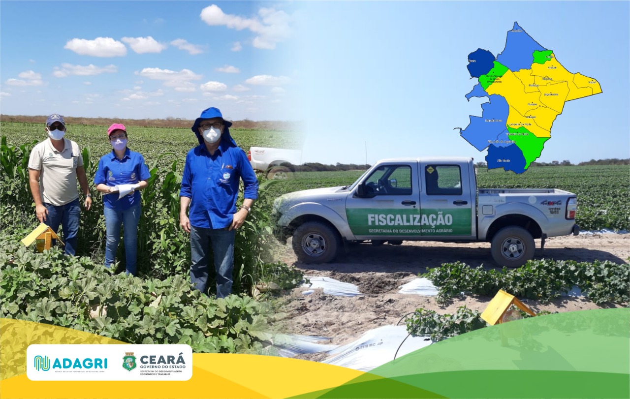 Adagri consegue junto ao MAPA a ampliação da Área Livre de Mosca das Frutas no Ceará