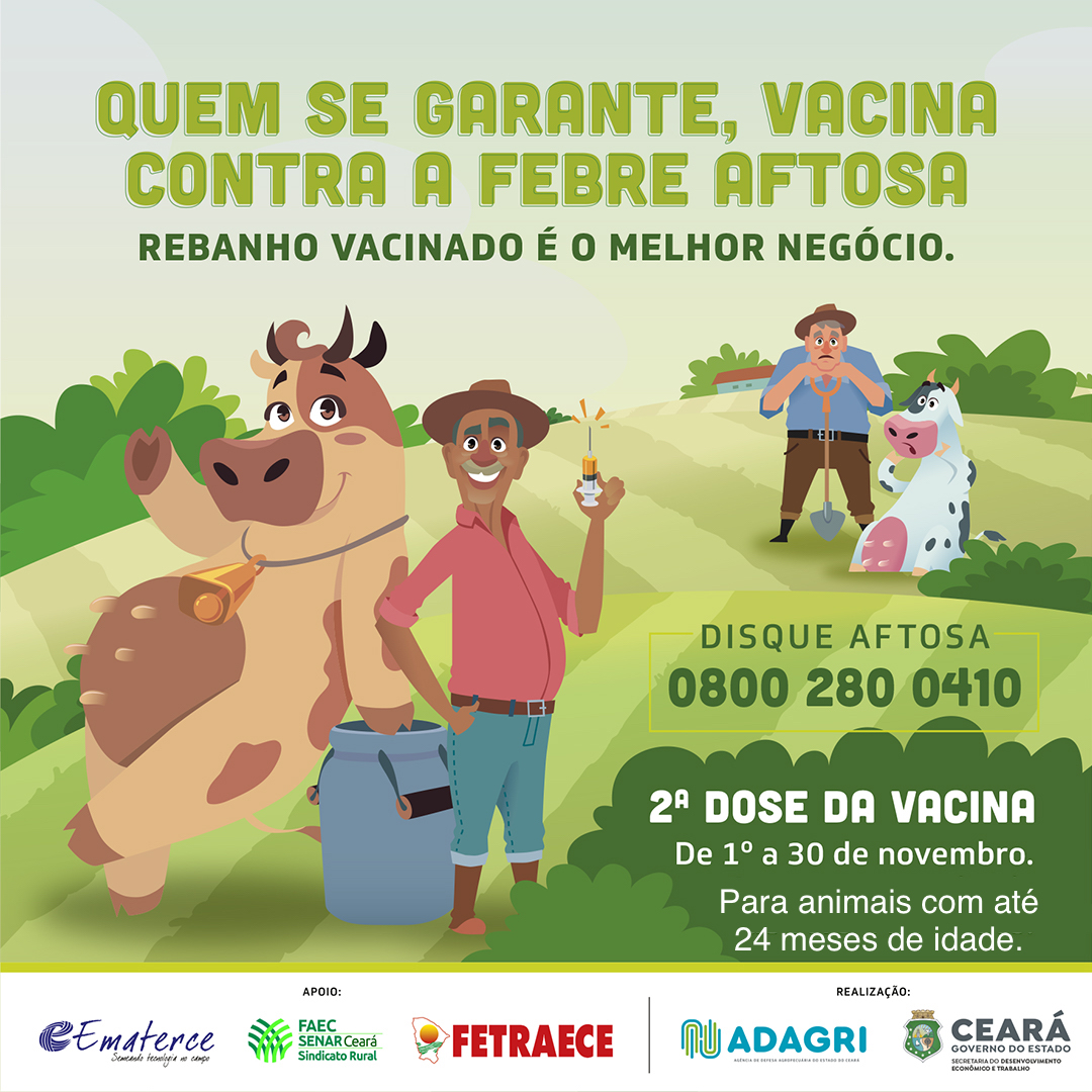 Segunda etapa de vacinação contra Febre Aftosa no Ceará acontece durante todo esse mês