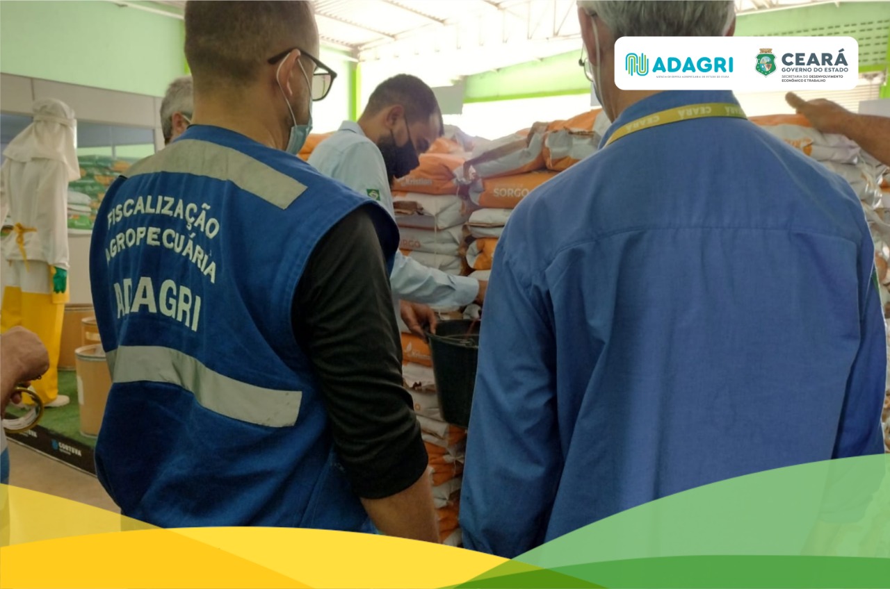 Auditores fiscais da Adagri participam de capacitação para coleta de amostras oficias de sementes nos estabelecimentos comerciais