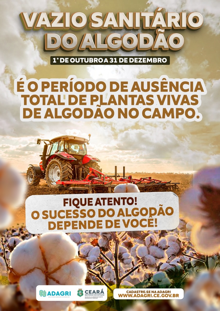 Vazio Sanitário do Algodão segue no Ceará até o dia 31 de dezembro