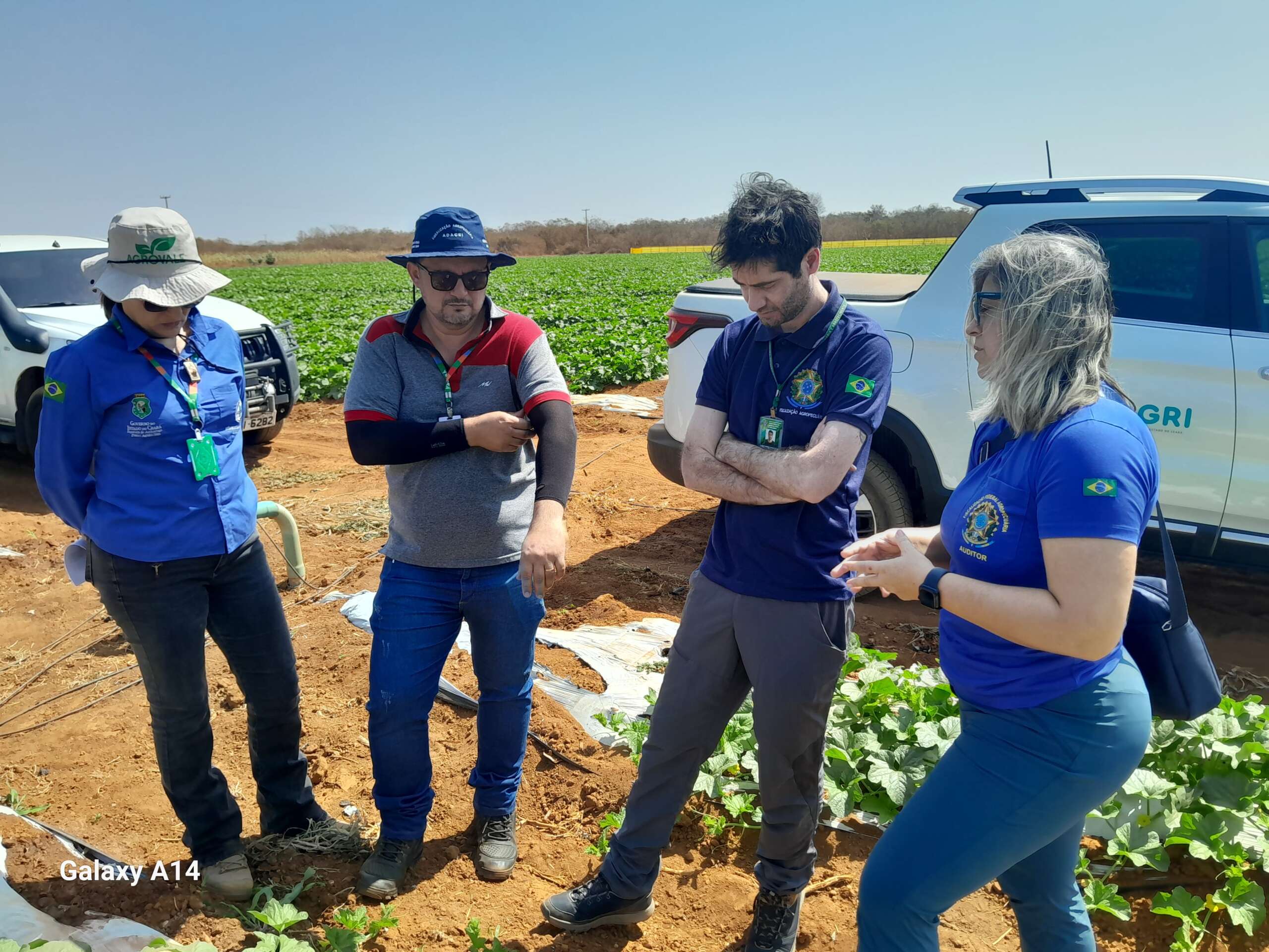 Ministério da Agricultura analisa área no Ceará para possível ampliação de Área Livre de Anastrepha grandis
