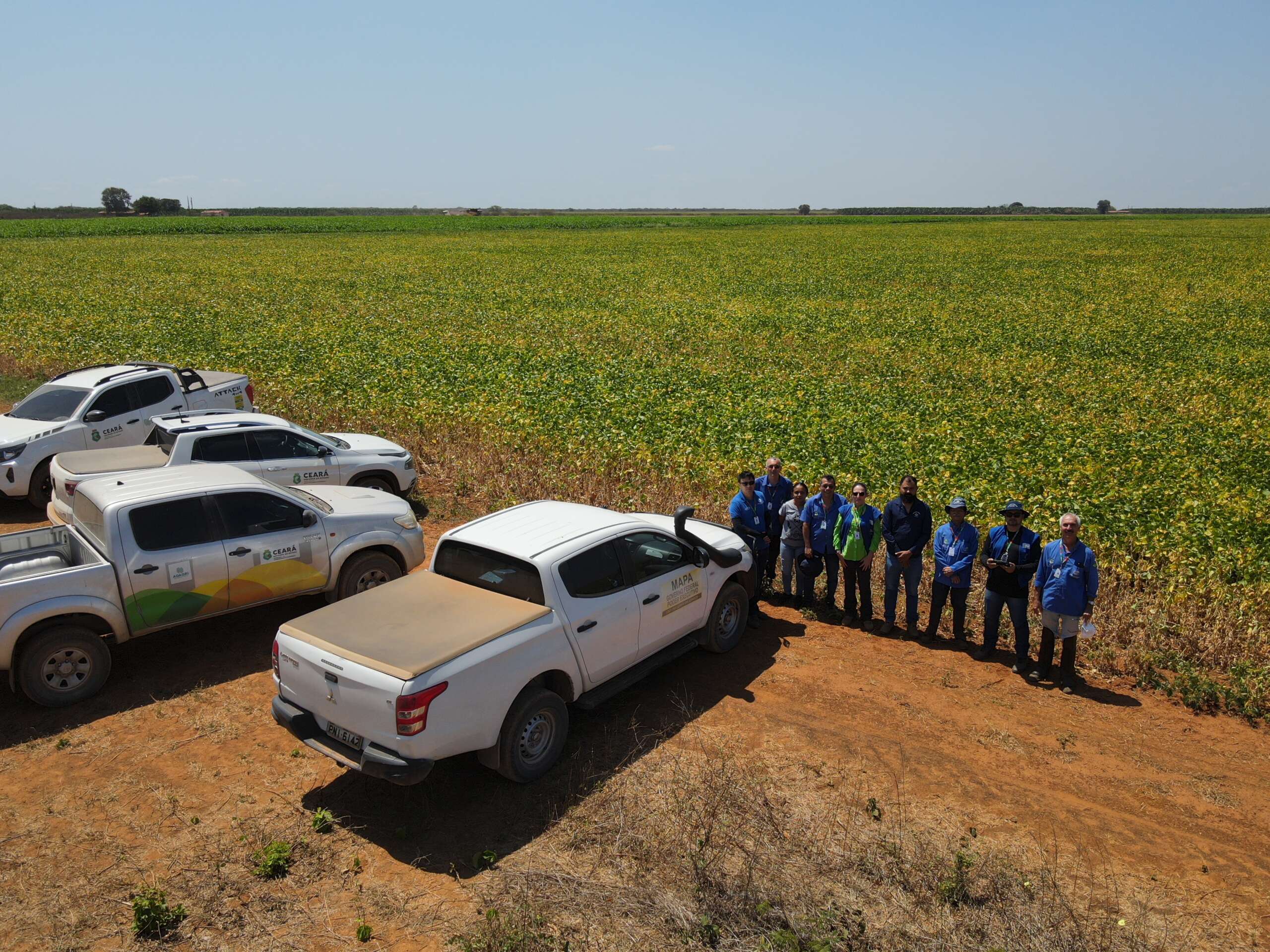 Adagri intensifica ações para o controle da Ferrugem Asiática da Soja no Ceará
