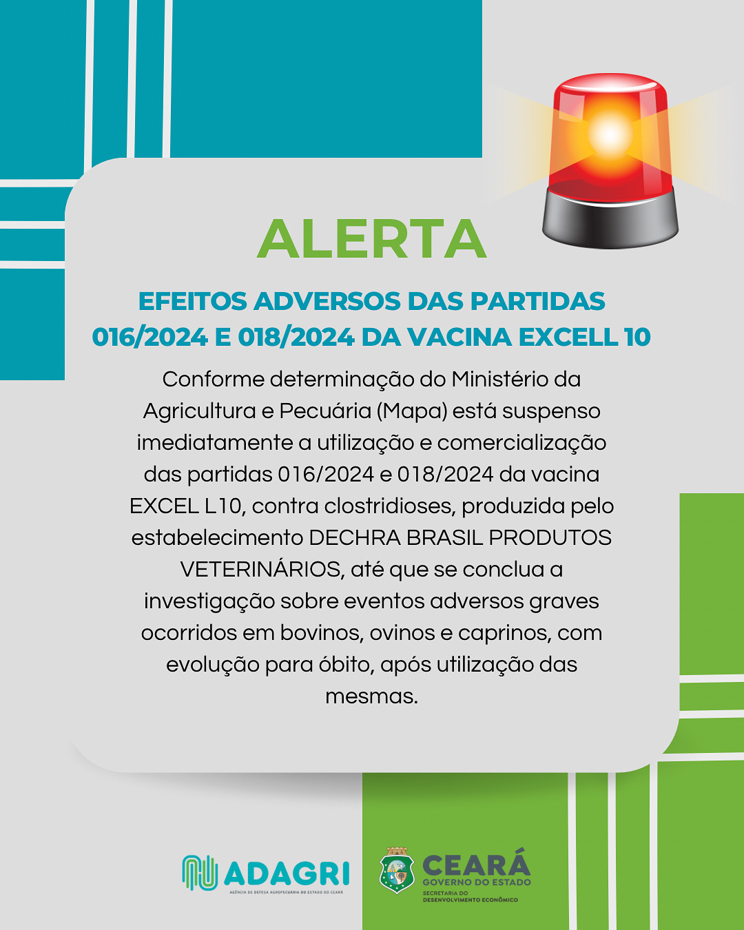 Nota de Alerta: Efeitos adversos da Vacina Excell 10