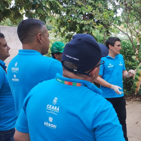 Ceará conclui última vacinação contra Febre Aftosa com recorde na imunização do rebanho