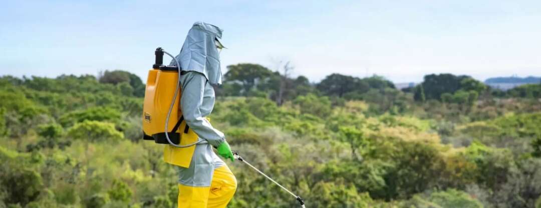 Recebimento Itinerante de Embalagens Vazias de Agrotóxicos (RI) 2026 começa neste mês de março; confira o calendário