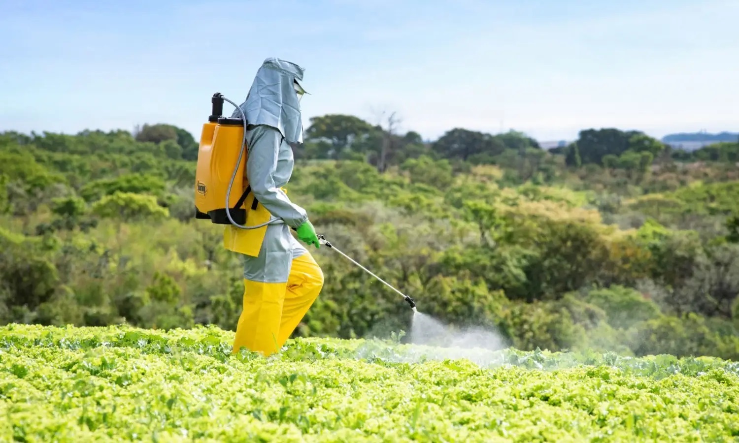 Recebimento Itinerante de Embalagens Vazias de Agrotóxicos (RI) 2026 começa neste mês de março; confira o calendário