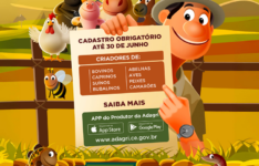 Campanha de Atualização Cadastral começa na próxima segunda-feira (04)