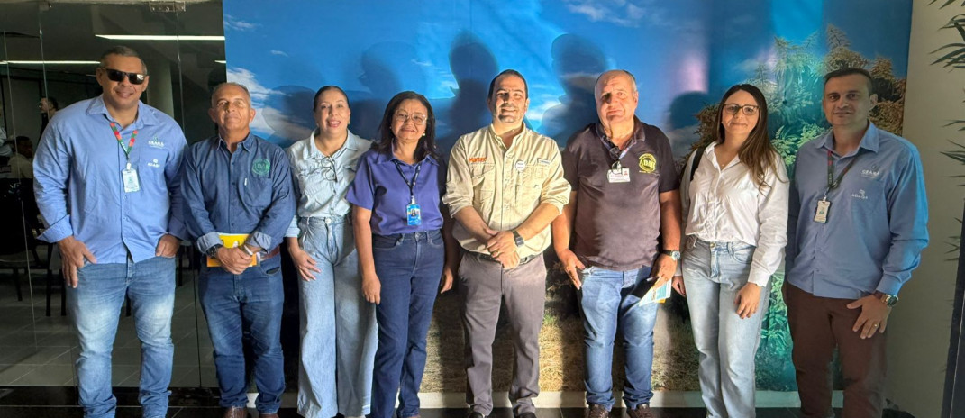 Adagri participa de Reunião Técnica sobre Exportação de Manga para os Estados Unidos