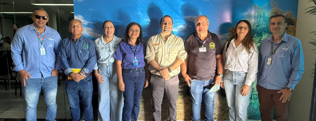 Adagri participa de Reunião Técnica sobre Exportação de Manga para os Estados Unidos