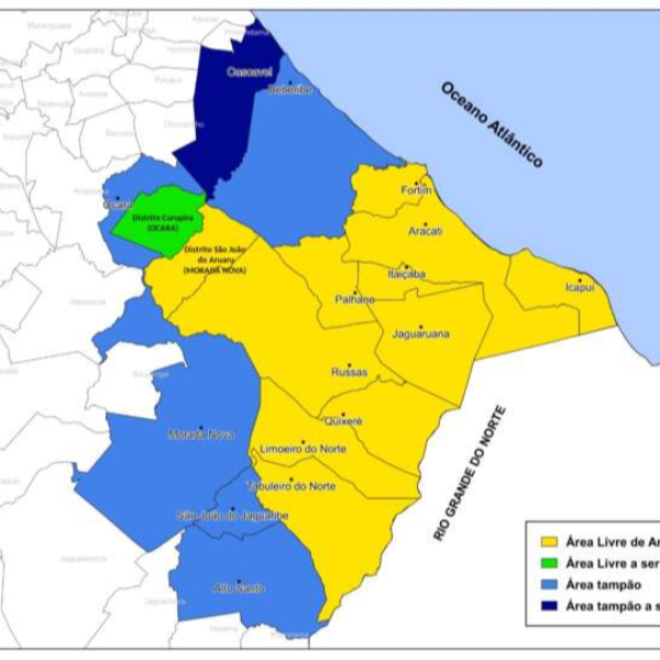 Ceará amplia Área Livre da praga Anastrepha grandis e fortalece exportações de melão e melancia