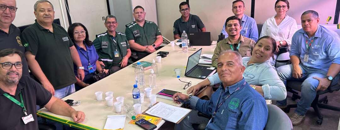 Adagri participa de Reunião Técnica sobre Exportação de Manga para os Estados Unidos