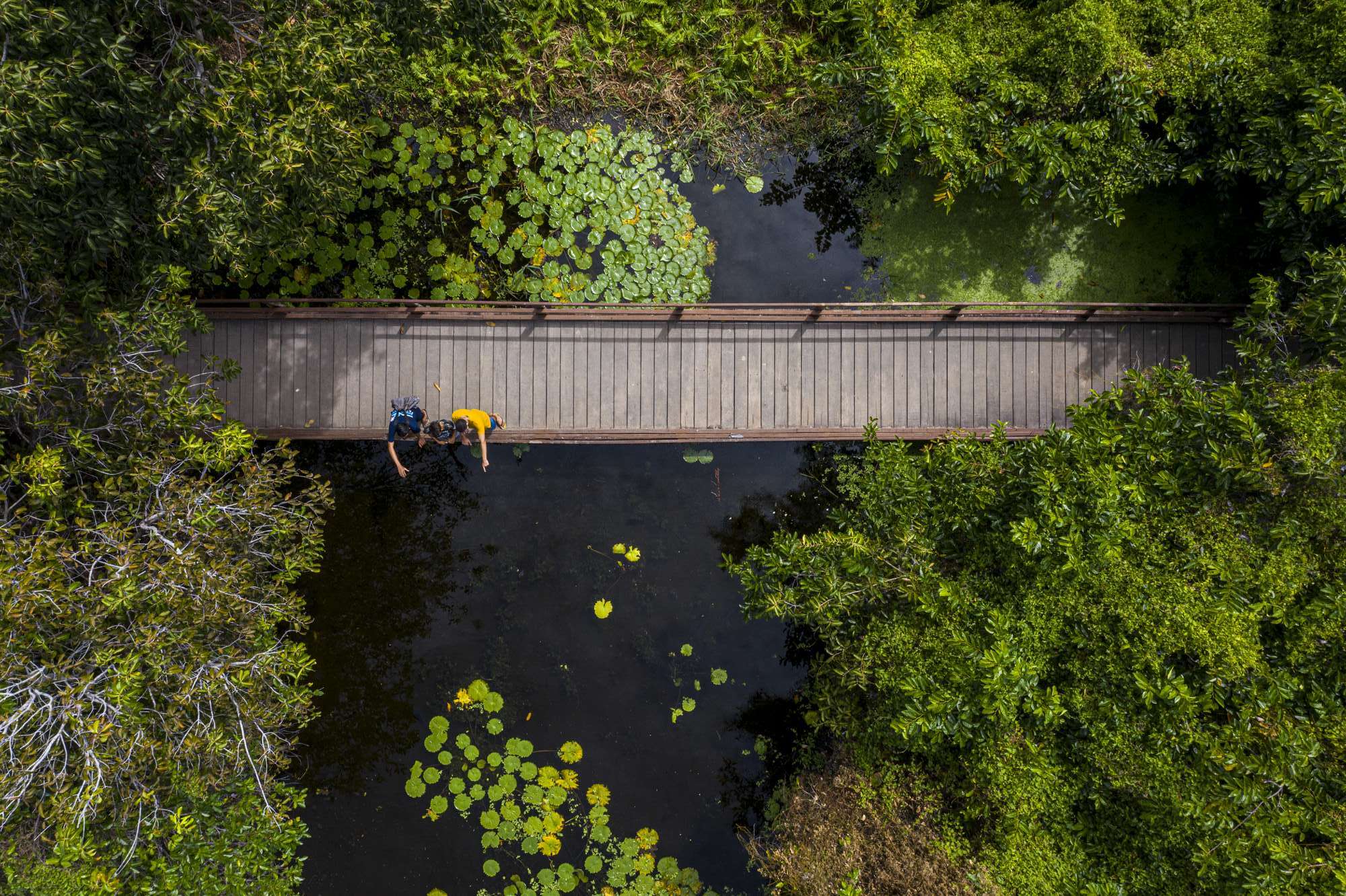 Governo do Ceará apoia jovens cearenses no desenvolvimento de projetos sustentáveis