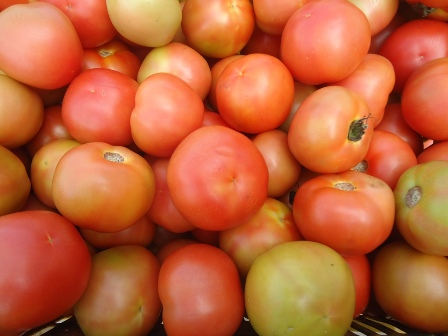 Preço do tomate cai pela metade