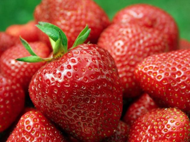 Preço do morango cai 20% na Ceasa