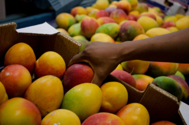 Produtos em safra estimulam a queda dos preços na Ceasa Cariri