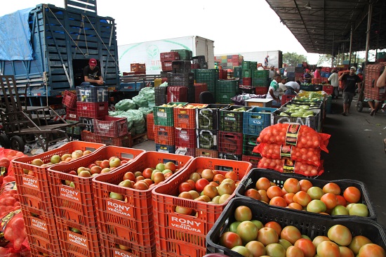 Boas safras fazem o preço do tomate cair 28,57% na Ceasa-CE