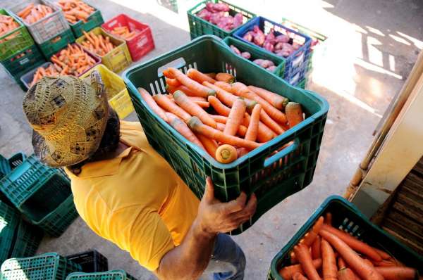 Governo do Ceará orienta cuidados com produção e comercialização de alimentos