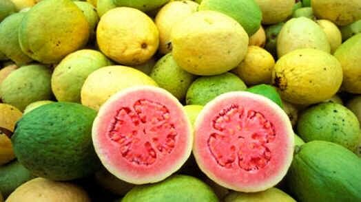 Frutas com bons preços na Ceasa-CE