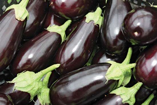 Ceasa-CE inicia semana com grande oferta de abacaxi, berinjela e tomate