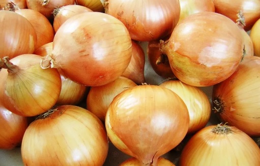 Preço da cebola despenca na Ceasa-CE