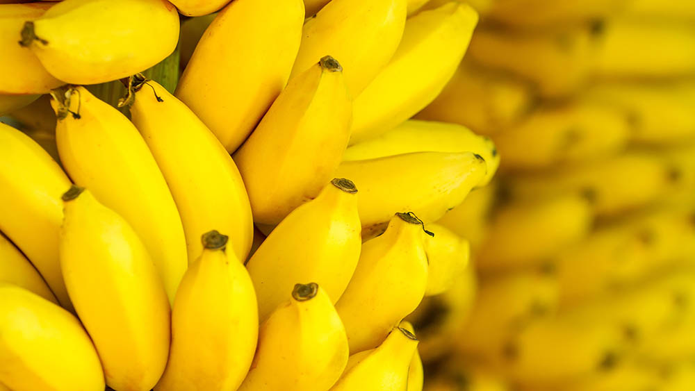 Banana maçã tem queda de 11,03% na Ceasa Tianguá