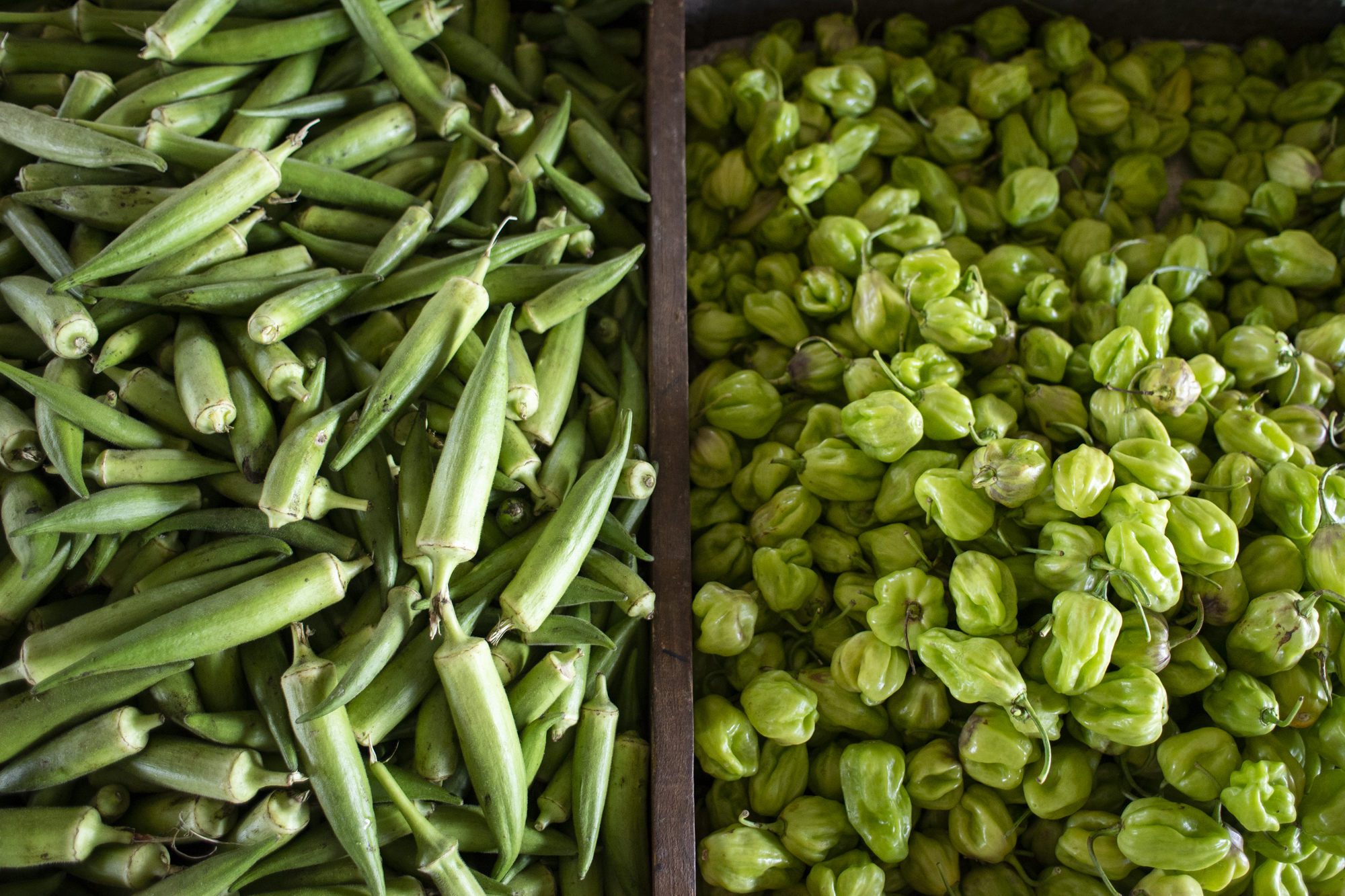 Quiabo e pimento de cheiro com preço em queda na Ceasa Tianguá