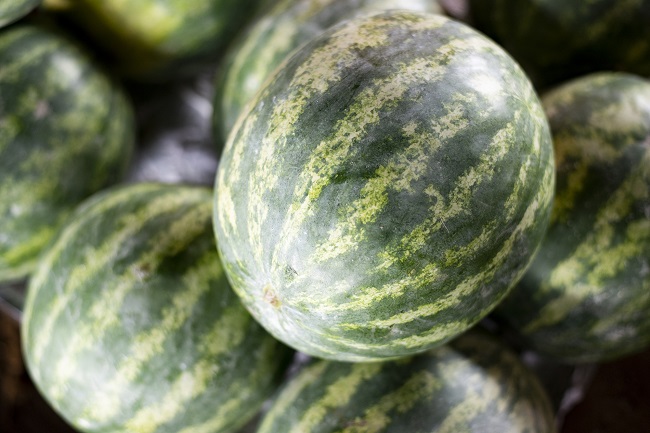 Melancia é vendida a R$ 1,20/kg na Ceasa Cariri