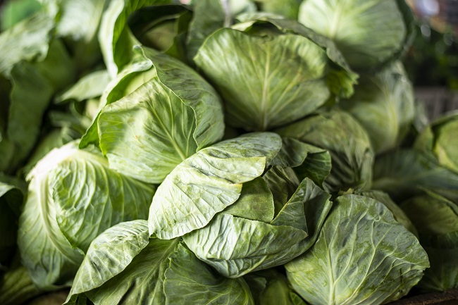Repolho a R$ 2,50/kg na Ceasa de Maracanaú