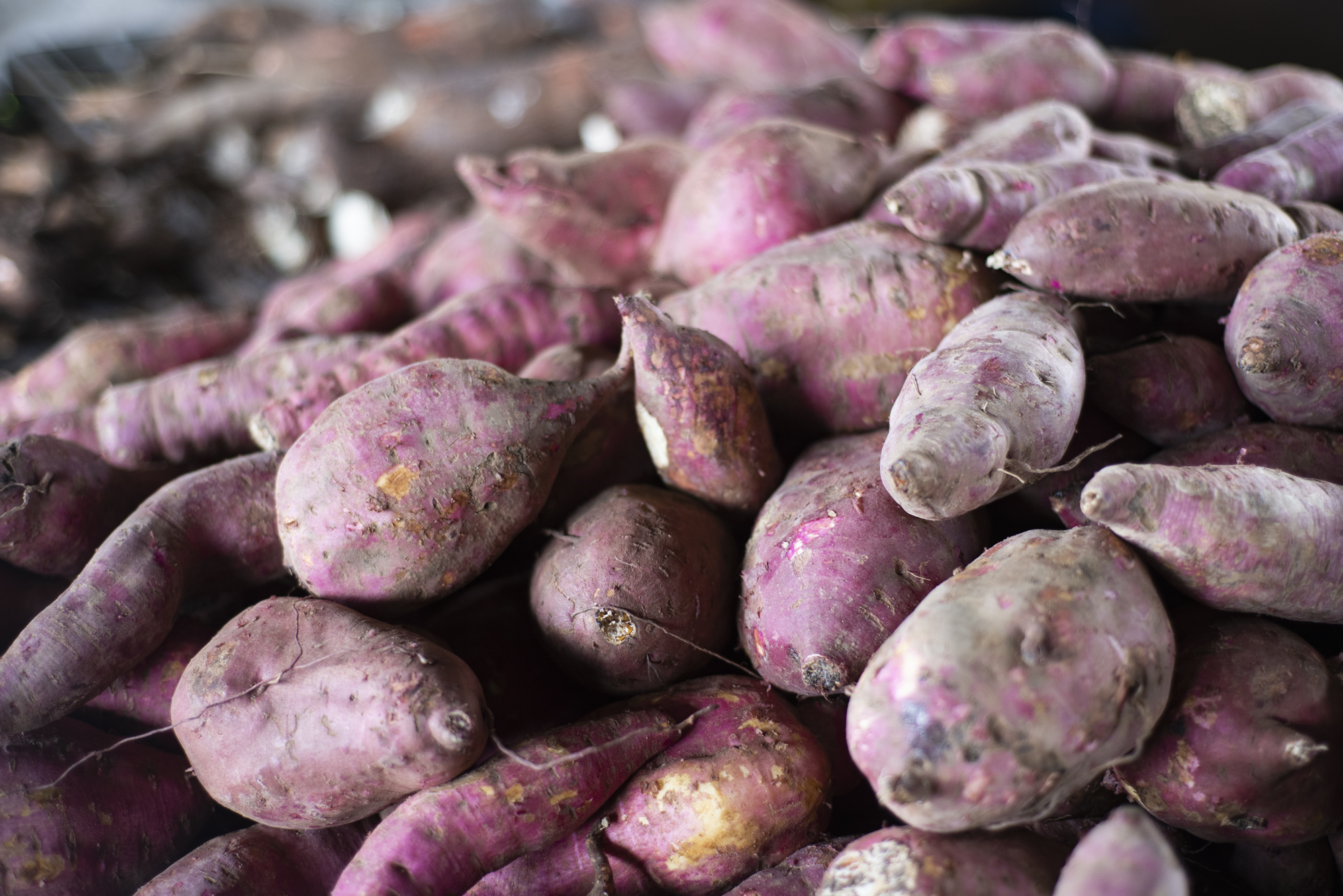 Batata-doce roxa a R$ 2,00/kg na Ceasa Cariri