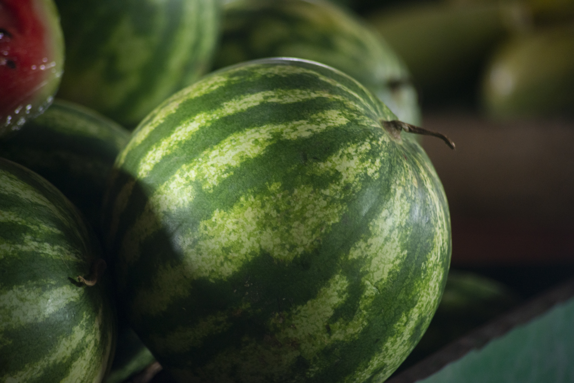 Melancia a R$0,80/kg na Ceasa Cariri