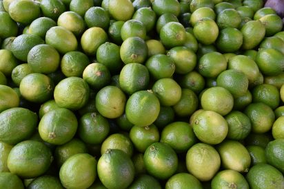 Limão taiti a R$ 2,00/kg na Ceasa em Maracanaú