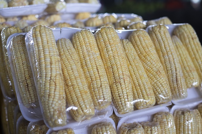Espiga de milho verde a R$ 0,50 na Ceasa em Maracanaú
