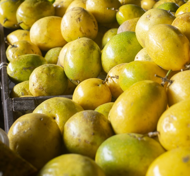 Preço do maracujá cai 28,6% na Ceasa Cariri