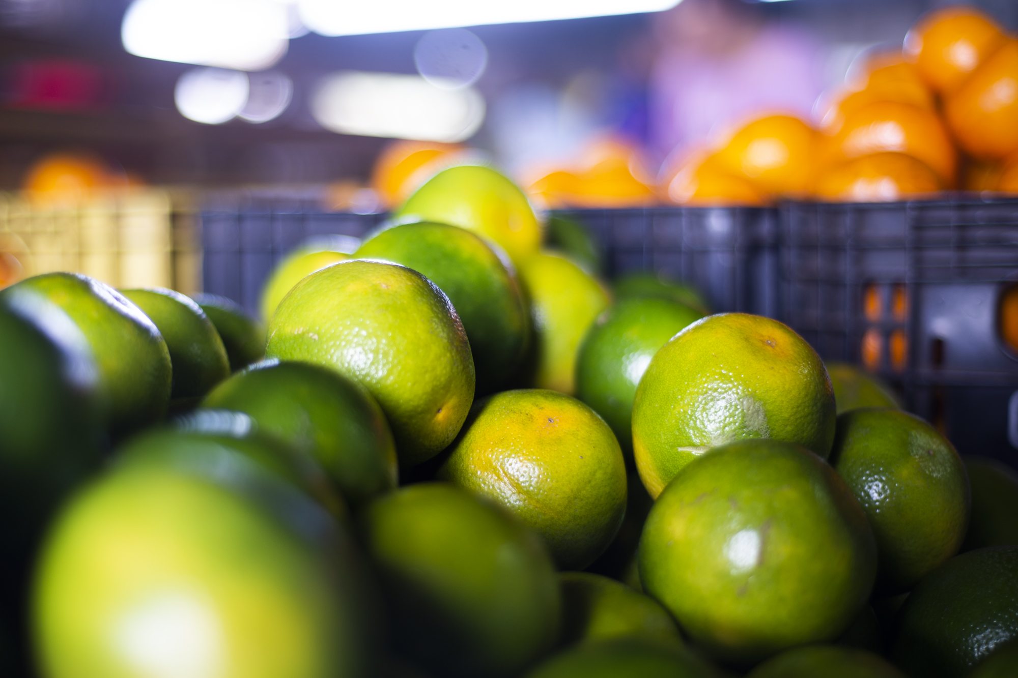 Laranja e feijão verde em oferta na Ceasa-CE