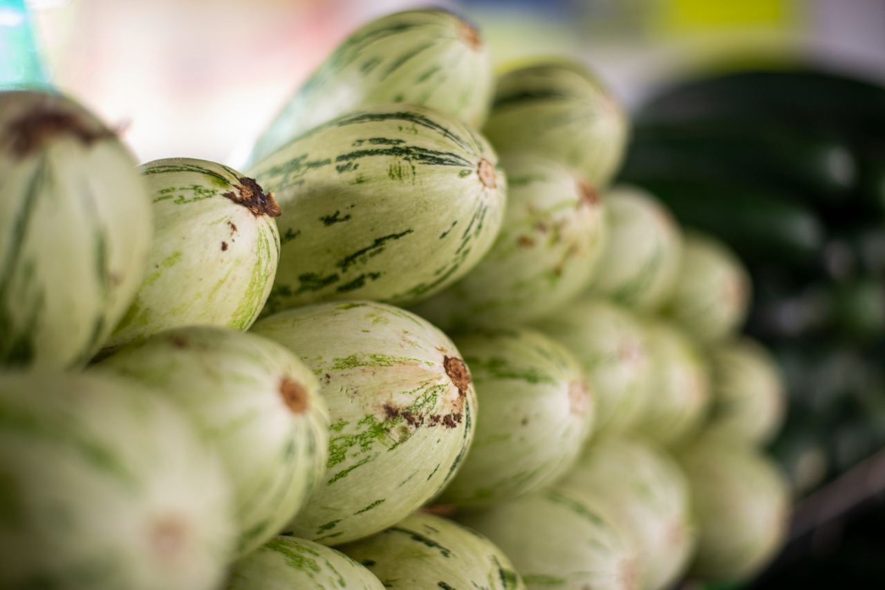 Preço da abobrinha italiana cai 12% na Ceasa em Tianguá